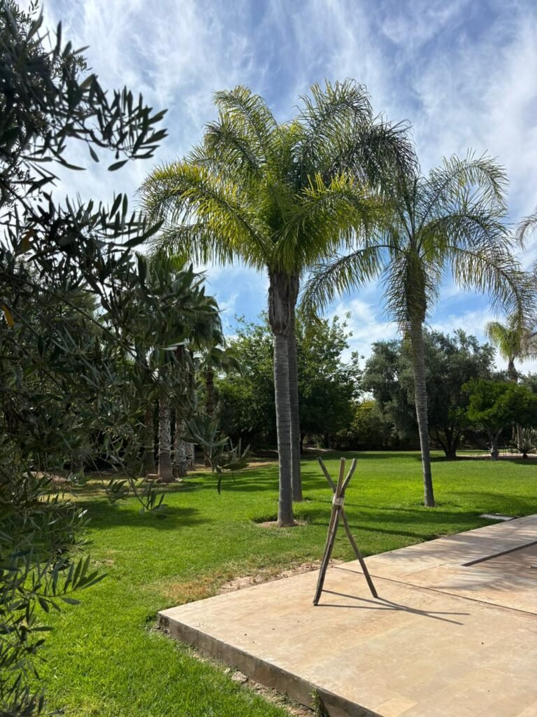 Villa Marrakech court séjour